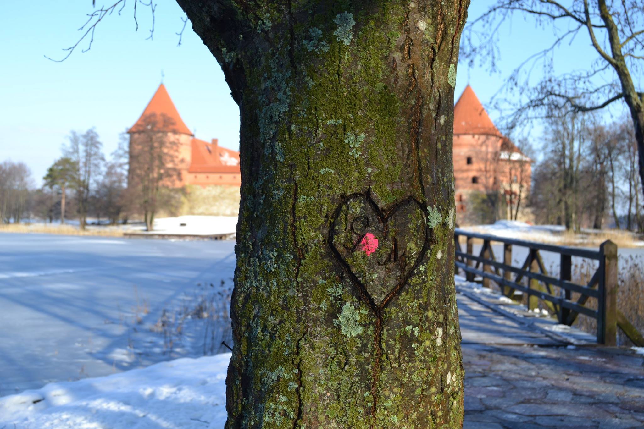 Lithuania Trakai Castle 02.2016